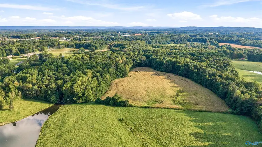 20 acres Alabama Highway 117, Ider, AL 35981 - #3