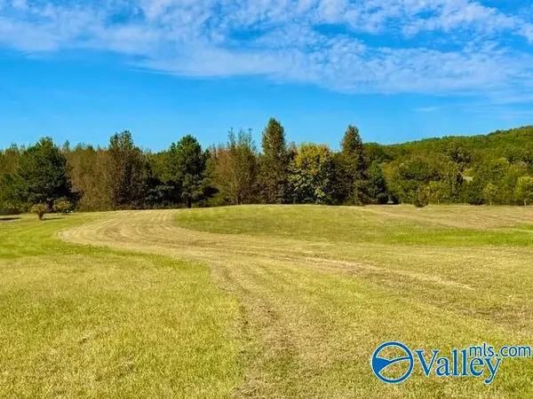 2804 Red Bank Road, Decatur, AL 35603