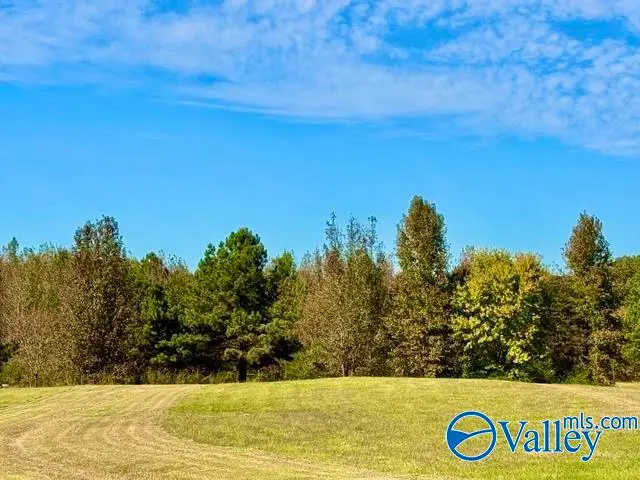 2804 Red Bank Road, Decatur, AL 35603 - #2