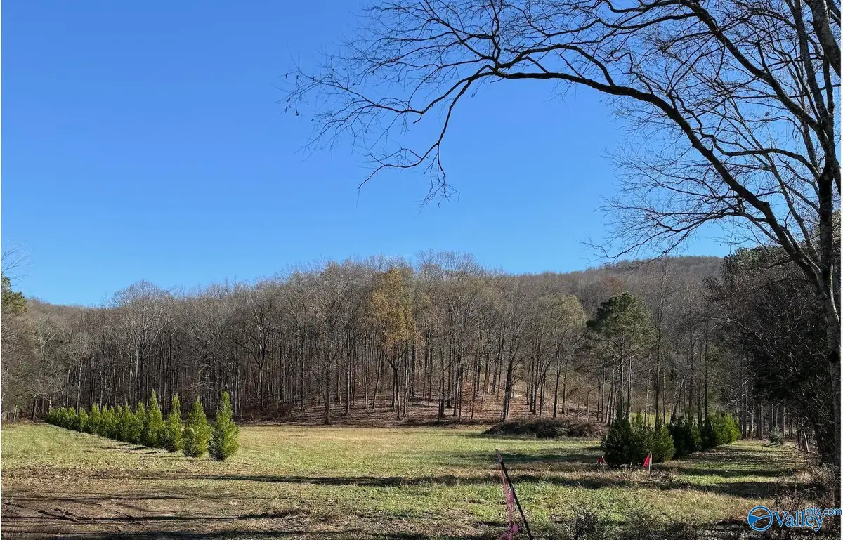 125 King Drake Road, Brownsboro, AL 35741 - #1