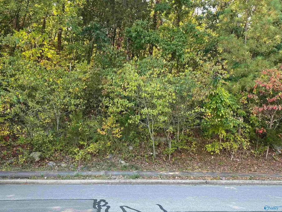 2414 Woodhurst Drive Se, Huntsville, AL 35803 - #2