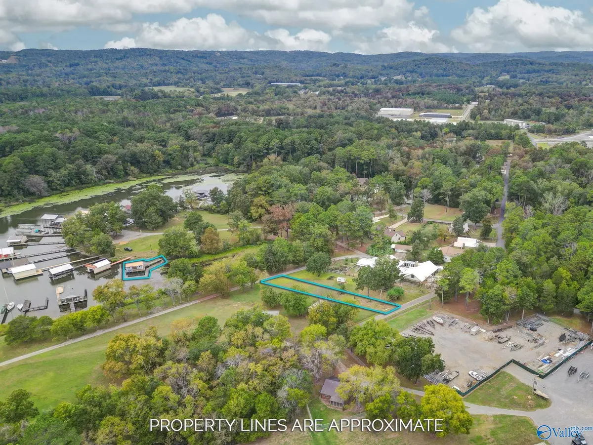 274 Bayshore Drive, Guntersville, AL 35976 - #1