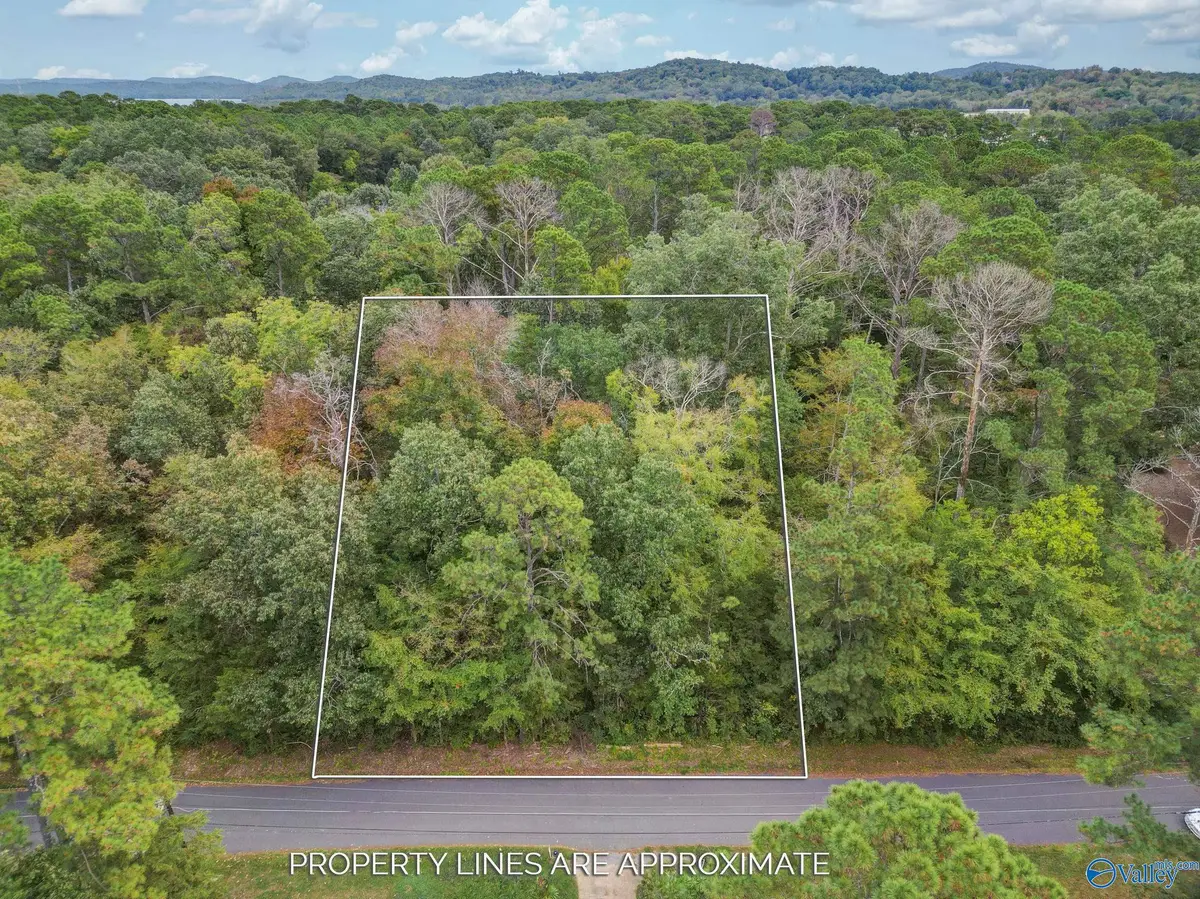 Lot 3 Bayshore Drive, Guntersville, AL 35976 - #1