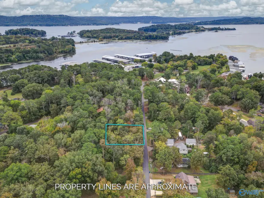 Lot 3 Bayshore Drive, Guntersville, AL 35976 - #2