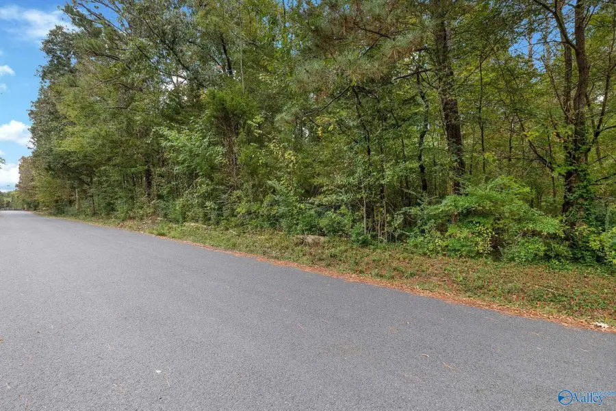 Lot 3 Bayshore Drive, Guntersville, AL 35976 - #3