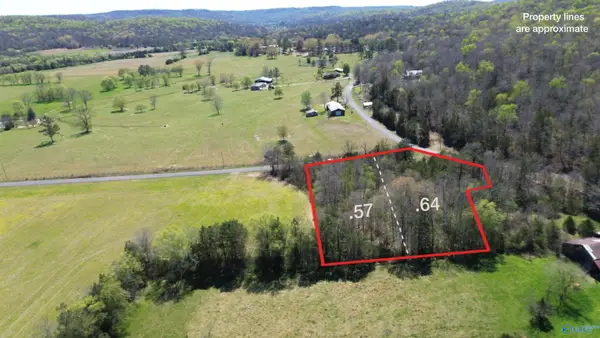 1.21 Thomas Lane, WOODVILLE, AL 35776