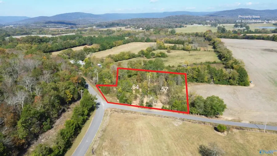 1.21 Thomas Lane, Woodville, AL 35776 - #2