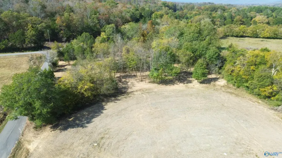 1.21 Thomas Lane, Woodville, AL 35776 - #3