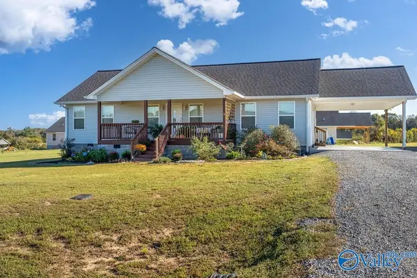 156 County Road 460, RAINSVILLE, AL 35986