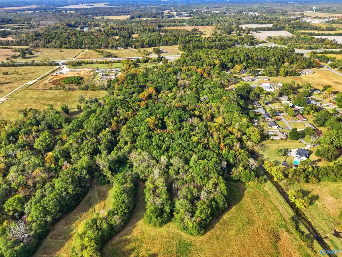 19.4 Acres Beacon Street, Moulton, AL 35650 - #1
