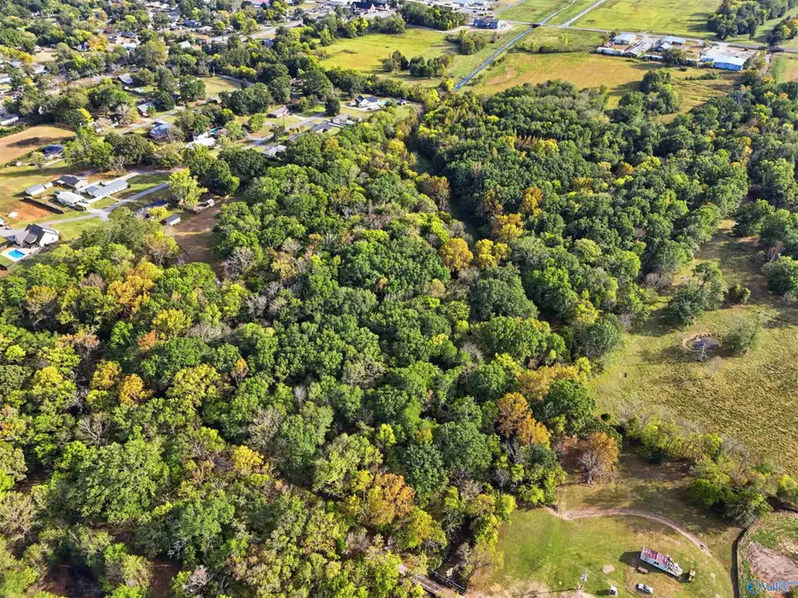 19.4 Acres Beacon Street, Moulton, AL 35650 - #2
