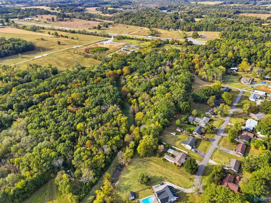 19.4 Acres Beacon Street, Moulton, AL 35650 - #3