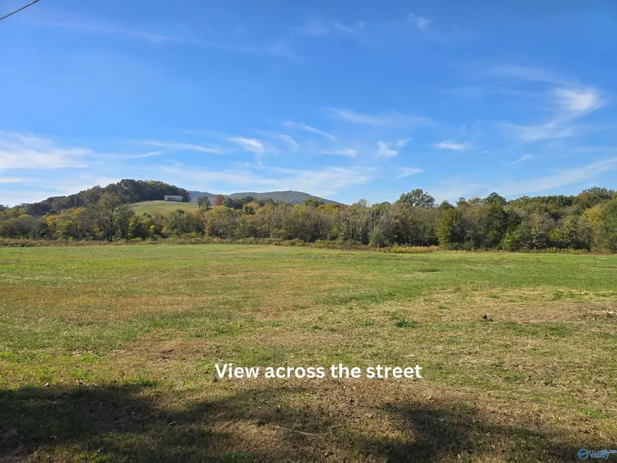 3 acres Parton Street, Bridgeport, AL 35740 - #2