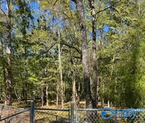 1.1 acres Chadwick Drive E, GADSDEN, AL 35901