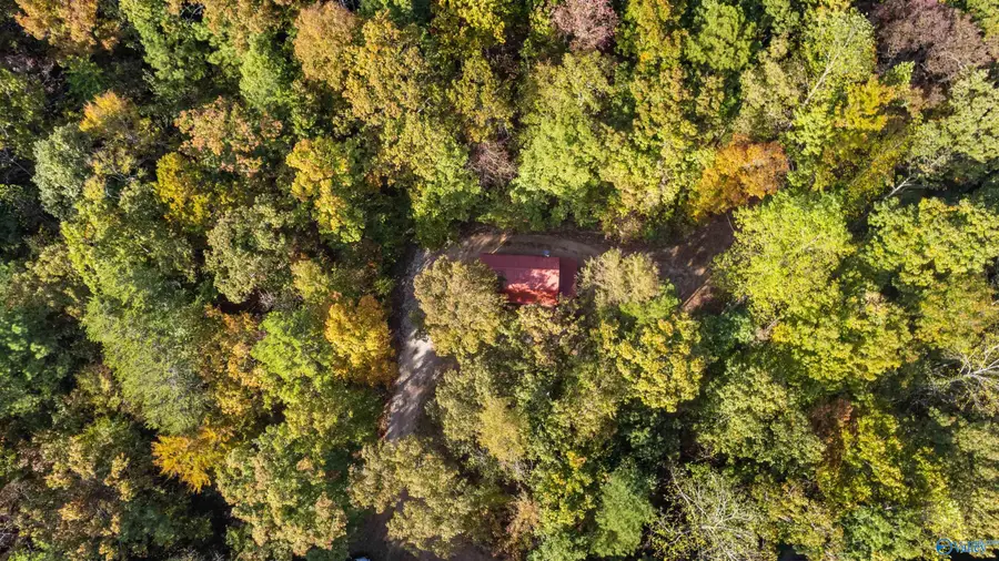 901 Martha Drive, Gadsden, AL 35901 - #3