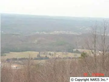 4250 Citadel Rock Road, Fort Payne, AL 35967 - Image #3