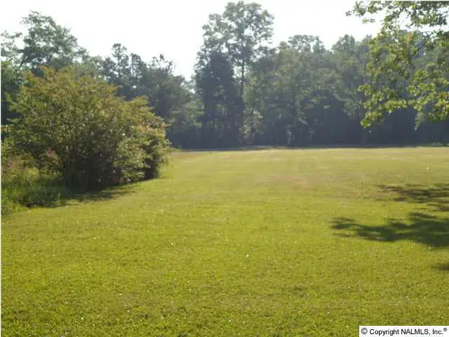 1117 Hooks Lake Road, Gadsden, AL 35901 - #3