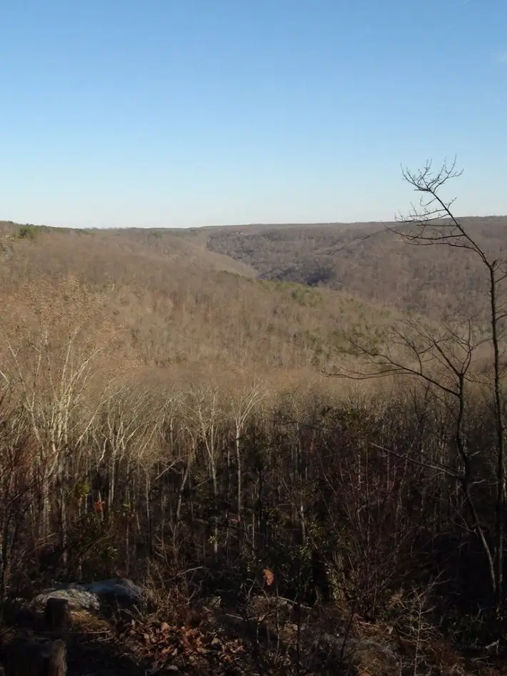 7 Blowing Cave Road, Gurley, AL 35748 - Image #2