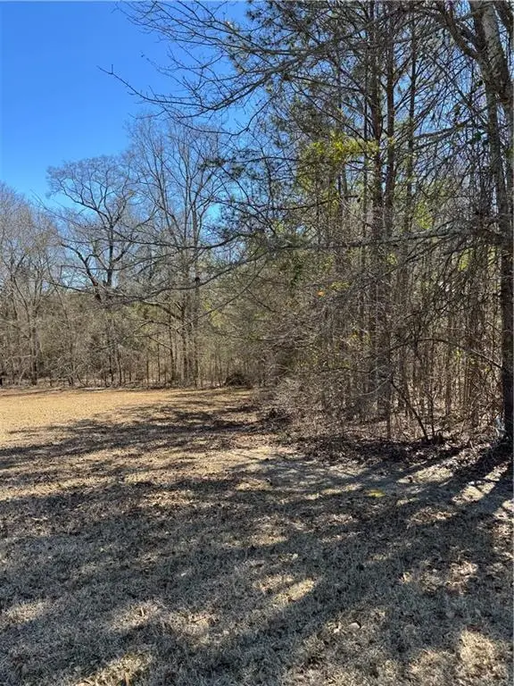 10 Lee Road 2058, Salem, AL 36874 - Image #2