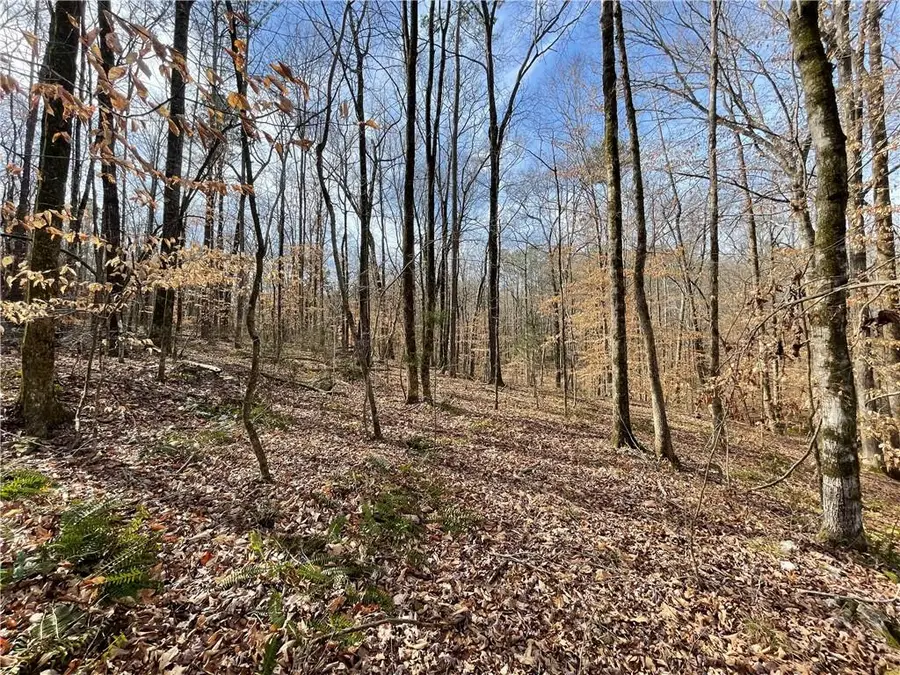 Lot 2 Lee Rd 462, Valley, AL 36854 - Image #3