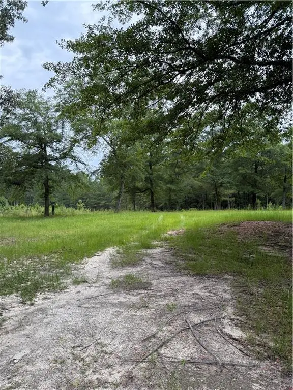 0 Lee Rd 235, Smiths Station, AL 36877 - Image #1