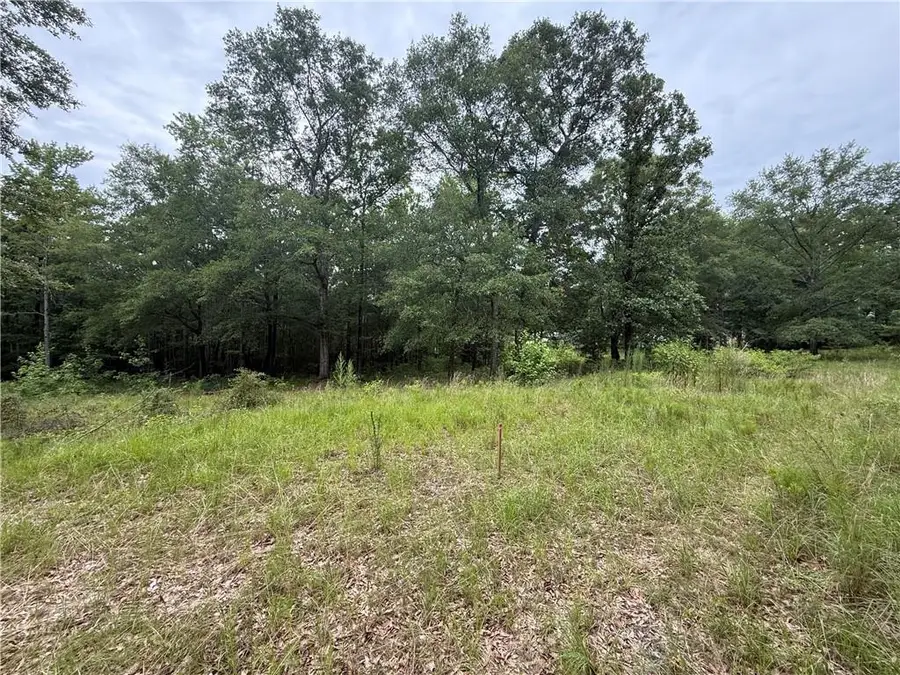 0 Lee Rd 235, Smiths Station, AL 36877 - Image #2