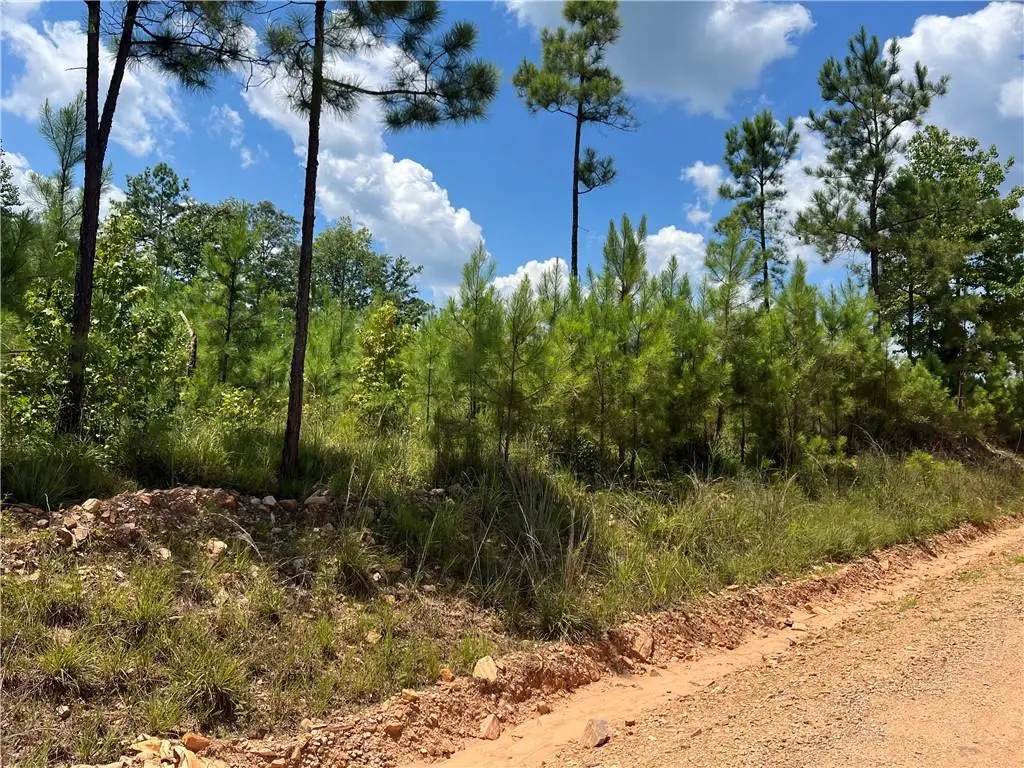 5026 Lee Rd 254 Road, Salem, AL 36874 - #1