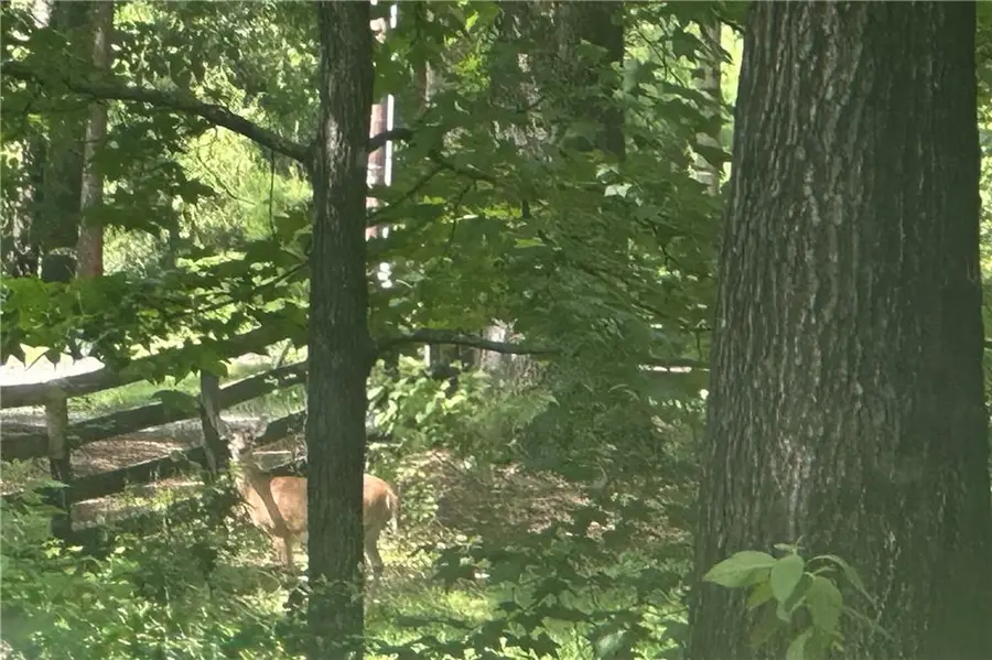 50 Northfork Lane, Eufaula, AL 36027 - #3