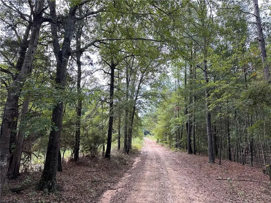 0 Hwy 26, Seale, AL 36875 - Image #2