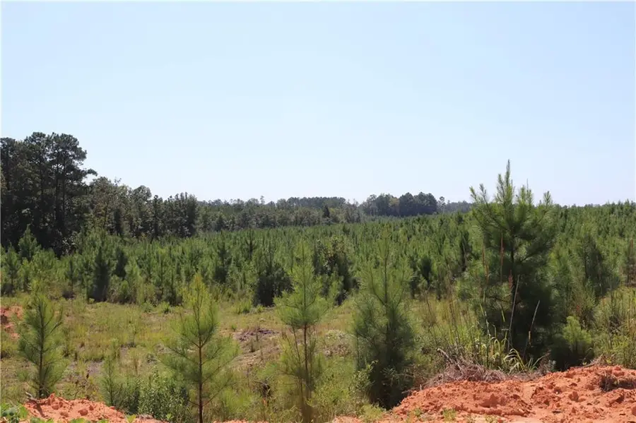 280 Ridge Rd, Seale, AL 36875 - Image #3