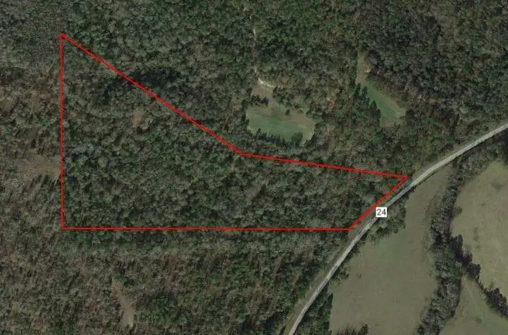 Lot 1 Macon County Road 24, Auburn, AL 36830 - Image #1