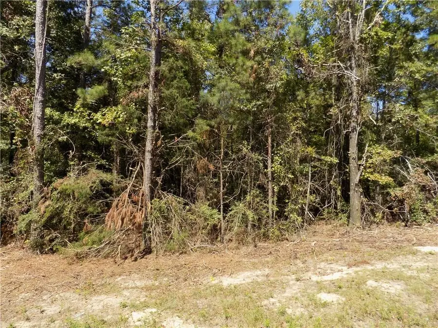Lot 1 Macon County Road 24, Auburn, AL 36830 - Image #3