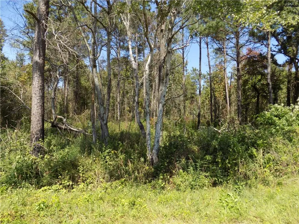 Lot 5 Macon County Road 24, Auburn, AL 36830 - Image #1