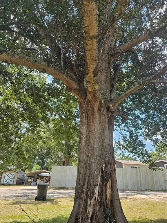 57 Lori Lane, Notasulga, AL 36866 - Image #3