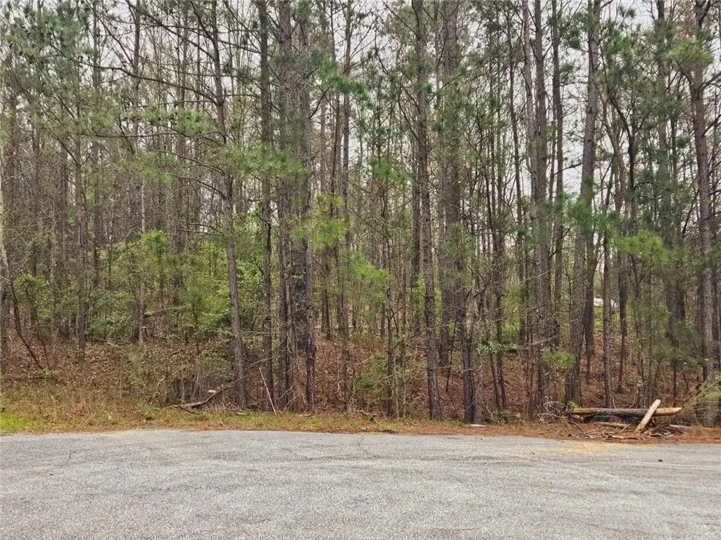 0 Lee Road 243, Smiths Station, AL 36877 - Image #1