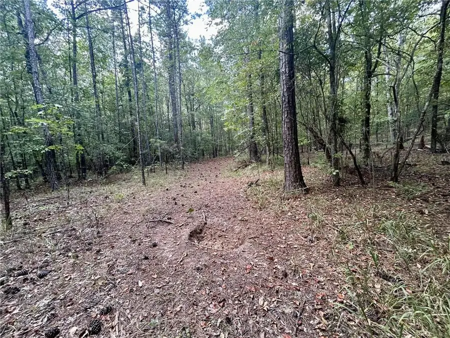 0 Freeman Rd, Phenix City, AL 36879 - Image #2