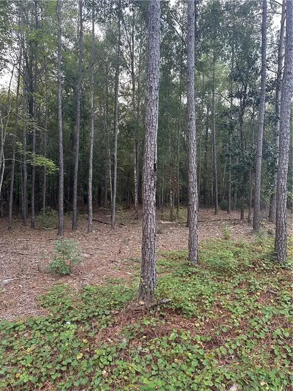 0 Lee Rd 288, Smiths Station, AL 36877 - Image #2