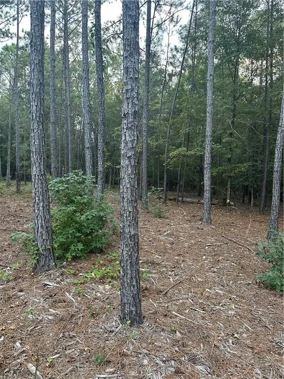 0 Lee Rd 288, Smiths Station, AL 36877 - Image #3