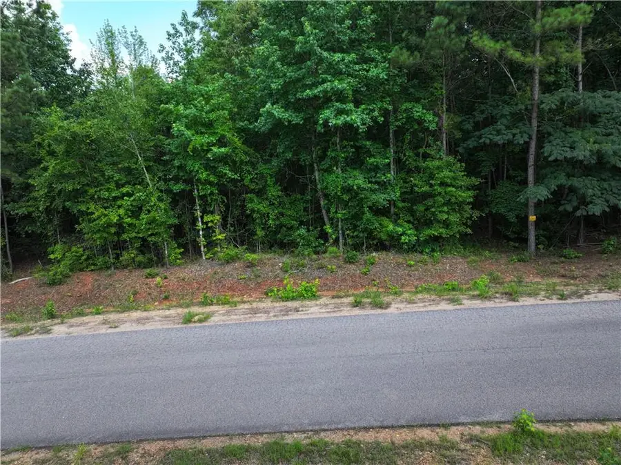 Lot 5 Lee Road 345, Salem, AL 36874 - #2