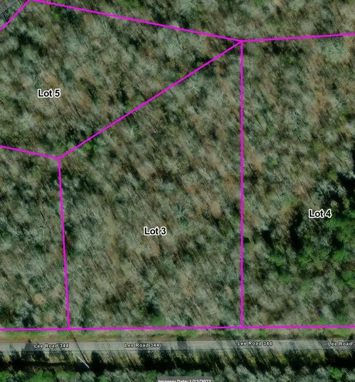 Lot 3 Lee Road 344, Salem, AL 36874 - Image #2