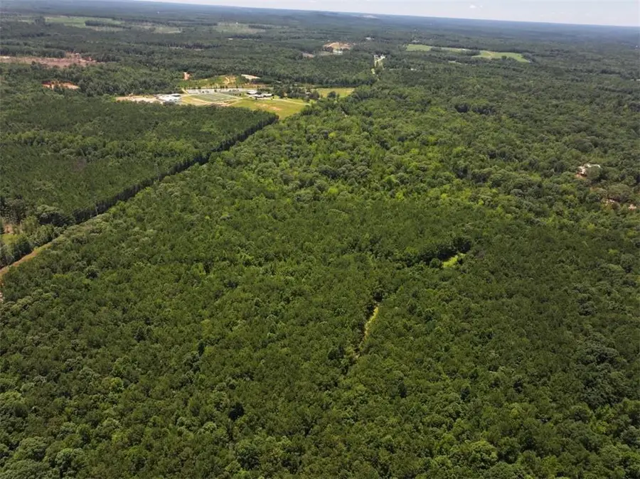 Lot 8 Lee Road 345, Salem, AL 36874 - #3