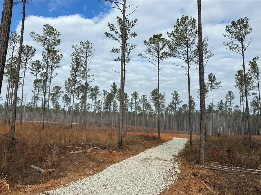 Lot A2 Lee Road 278, Salem, AL 36874 - Image #3
