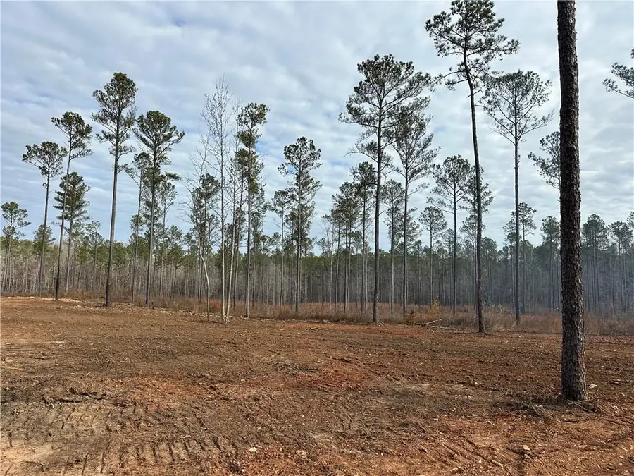 Lot A3 Lee Road 278, Salem, AL 36874 - Image #2