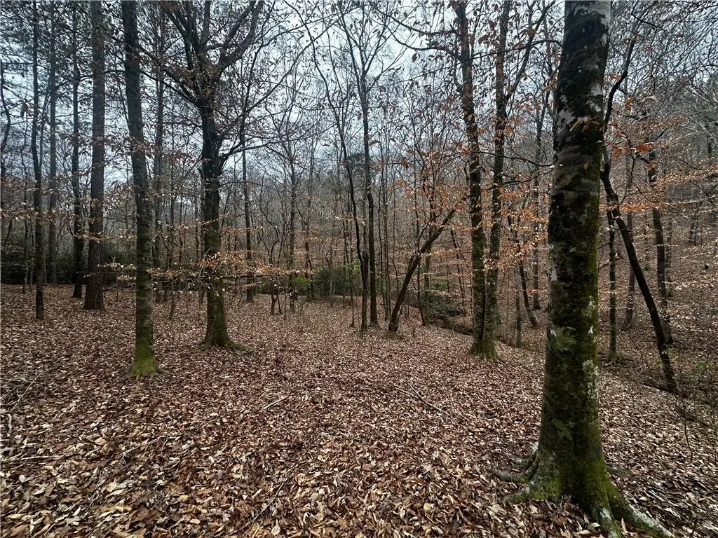 0 Lee Road 367, Valley, AL 36854 - #1