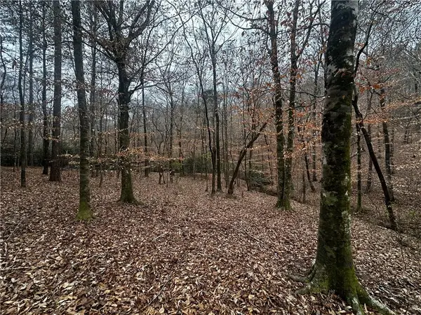 0 Lee Road 367, Valley, AL 36854