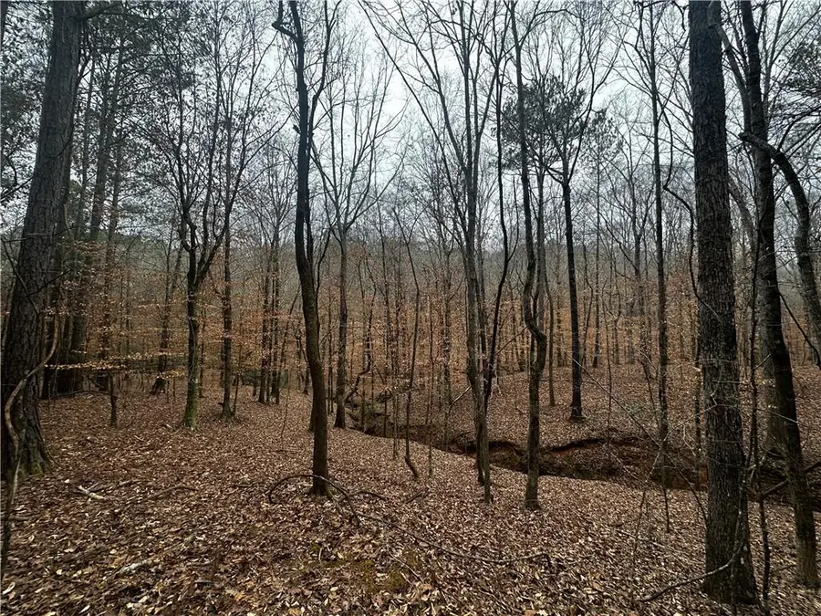 0 Lee Road 367, Valley, AL 36854 - #2