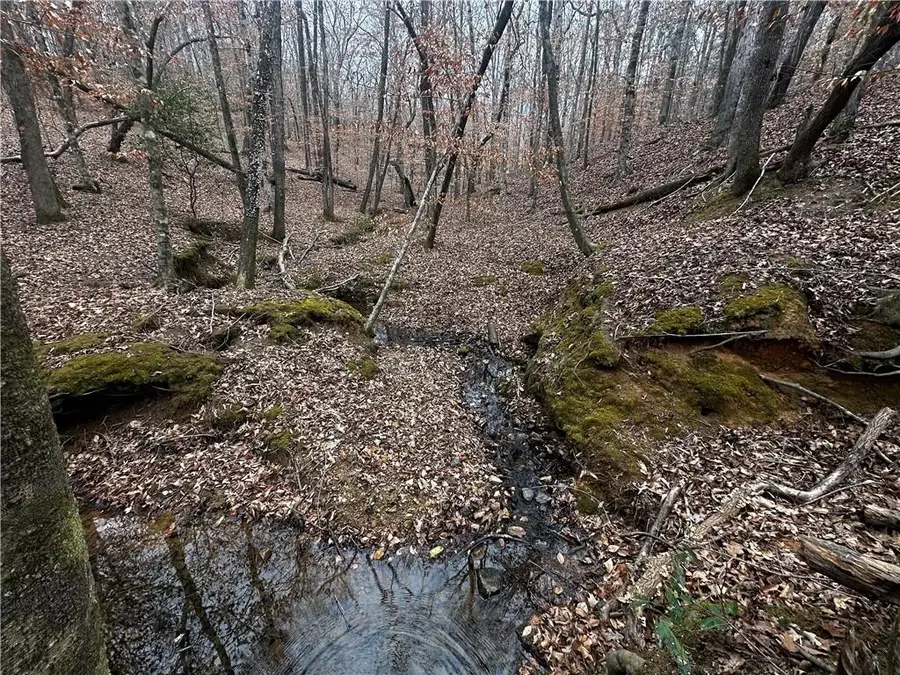 0 Lee Road 367, Valley, AL 36854 - #3