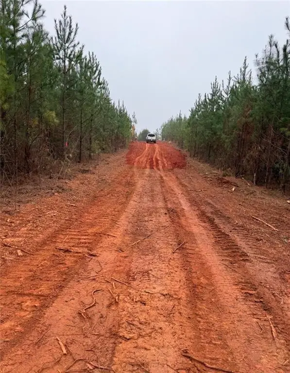 4982 Lee Road 254, Salem, AL 36874 - #2