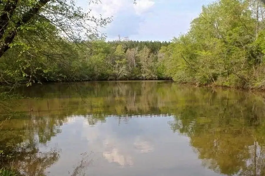 628 Lee Road 889, Valley, AL 36854 - #3