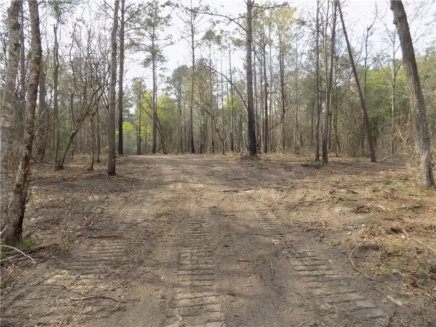 Lot 2 Macon County Road 24, Auburn, AL 36830 - #2